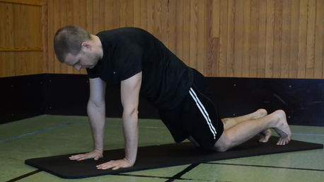 Styrka - Handleder - Steg 2 - Handrygg fram